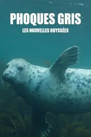 Grey Seals: A Journey of Survival movie poster