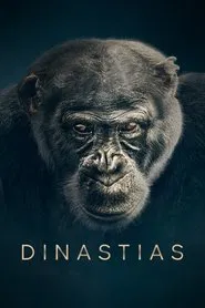 Poster da série Dinastias