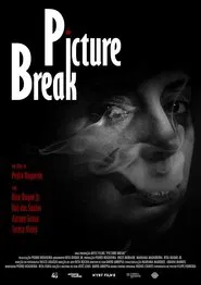 Picture Break movie poster