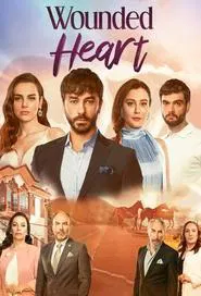 Wounded Heart tv show poster