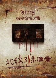 Poster do filme Video Cassette of 31 Degrees North Latitude