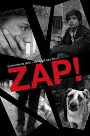 Zap movie poster