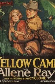 The Yellow Cameo movie poster