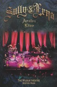 Sully Erna - Avalon Live movie poster
