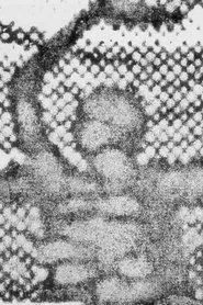 Poster do filme POND