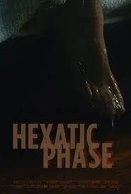 Poster do filme Hexatic Phase