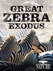 Nature: Great Zebra Exodus movie poster