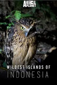 Wildest Islands of Indonesia tv show poster