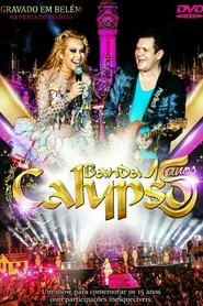 Banda Calypso: 15 Anos movie poster