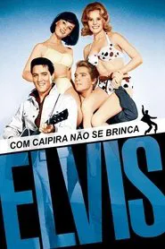 Poster do filme Com Caipira Não se Brinca
