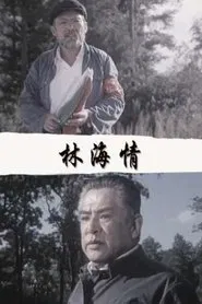 林海情 movie poster