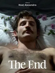 The End movie poster