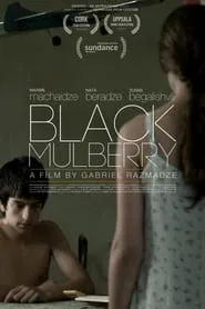 Poster do filme Black Mulberry