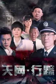 天网行踪 tv show poster