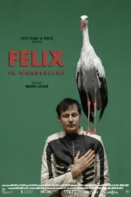 Felix in Wonderland movie poster