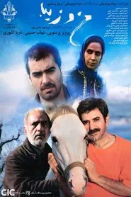 Ziba and I movie poster