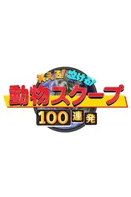 笑える！泣ける！動物スクープ100連発 tv show poster