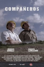 Partners movie poster