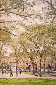 The Park movie poster