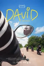 Poster do filme David (For Now)
