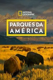 Poster da série Parques da América