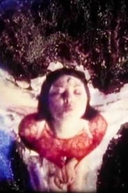 The Pink Fairy movie poster