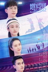 Go! Beach Volleyball Girls tv show poster
