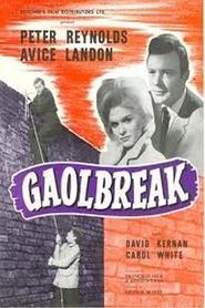Poster do filme Gaolbreak
