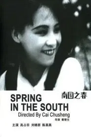 Poster do filme Spring in the South