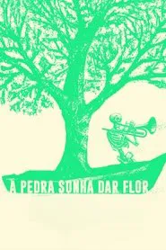 A Pedra Sonha Dar Flor movie poster