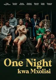 Poster do filme One Night Kwa Mxolisi