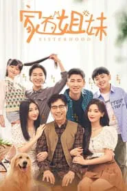 Sisterhood tv show poster