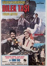 Poster do filme Dilek Taşı