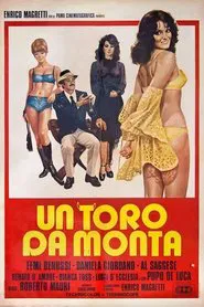 A Bull for Mounts movie poster