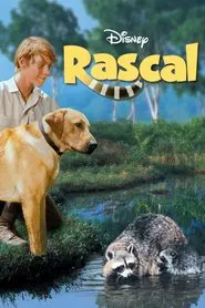 Rascal movie poster