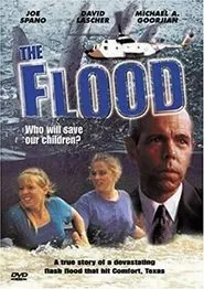 Poster do filme Enchente: Quem Salvará Nossos Filhos?