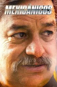 Poster da série Mexicanicos S2