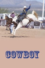 Cowboy movie poster