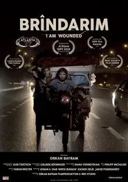 Brîndarim movie poster