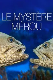 The Grouper Mystery movie poster