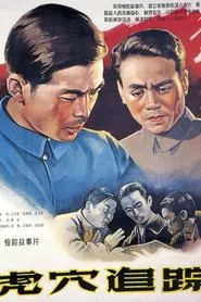 虎穴追踪 movie poster