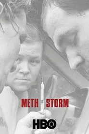 Meth Storm movie poster