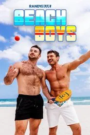 Beach Boys tv show poster