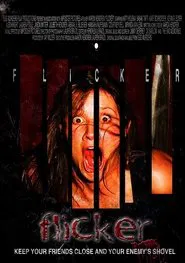 Poster do filme Flicker