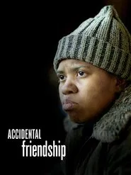 Poster do filme Accidental Friendship