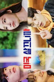 Because I live in America tv show poster