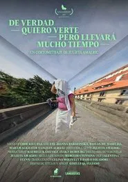 I Really Want to See You But It Will Take Too Long movie poster