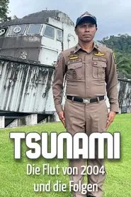 Tsunami - The flood of 2004 and the consequences movie poster