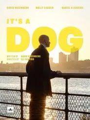 Poster do filme It's a Dog