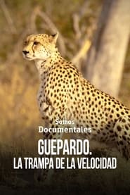 Cheetah – Speed Trap movie poster